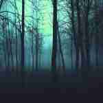 EL BOSQUE OSCURO, la nueva miniserie italiana de AMAZON PRIME VIDEO