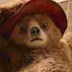 ‘PADDINGTON 3’ LLEGA EN 2024